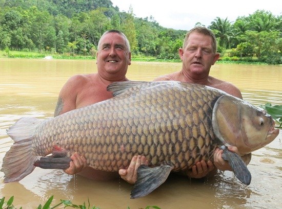 http://www.867bbb.com/uploadfile/2014/0821/20140821040628504.jpg