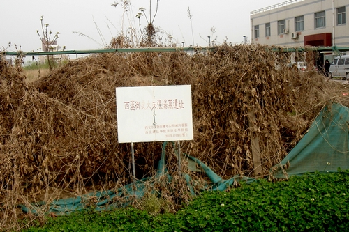 http://www.867bbb.com/uploadfile/2014/0910/20140910113709853.jpg