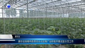 廊坊設(shè)施精特蔬菜綜合試驗(yàn)推廣站積極開(kāi)展示范工作