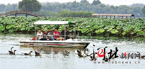 【砥礪奮進(jìn)的五年·瞰河北③】大地明珠 【砥礪奮進(jìn)的五年·瞰河北③】大地明珠