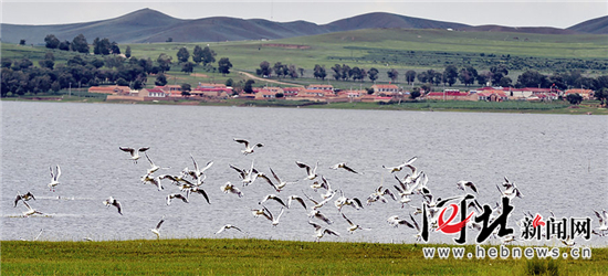 【砥礪奮進的五年·瞰河北③】大地明珠 【砥礪奮進的五年·瞰河北③】大地明珠