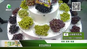 農(nóng)交會(huì)特色多