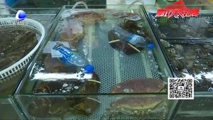 冬季螃蟹依舊美味 價(jià)格親民銷量上升