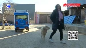 新申請(qǐng)壁掛爐未安裝急壞村民 相關(guān)部門正在全力協(xié)調(diào)解決