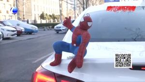 車頂貼掛玩偶“很拉風”？交警提示：有安全隱患