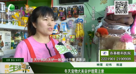 冬天寵物犬美容護理需注意