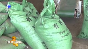 永清縣農(nóng)業(yè)垃圾變廢為寶 化身“有機肥料”重回農(nóng)田