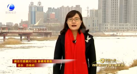 2018廊坊春節(jié)聯(lián)歡晚會(huì)—連線拜年視頻