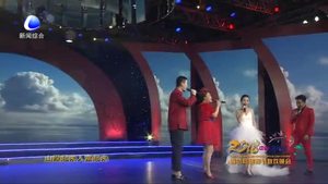 廊坊網(wǎng)絡(luò)春節(jié)聯(lián)歡晚會——美麗家園