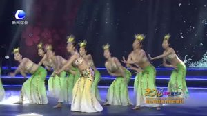 廊坊網(wǎng)絡(luò)春節(jié)聯(lián)歡晚會——年年有余