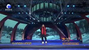 廊坊網(wǎng)絡(luò)春節(jié)聯(lián)歡晚會——東北東北