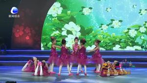 廊坊網(wǎng)絡(luò)春節(jié)聯(lián)歡晚會——少年中國說