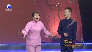 廊坊網(wǎng)絡(luò)春節(jié)聯(lián)歡晚會——美麗廊坊我的家