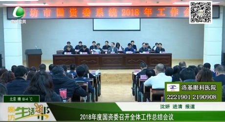 2018年度國資委召開全體工作總結(jié)會議