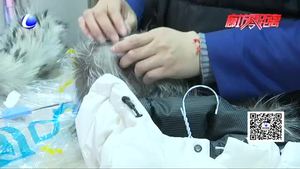 一條毛領(lǐng)引發(fā)的風(fēng)波