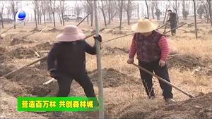我市各地開展春季植樹造林活動