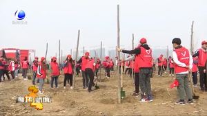 我市各地開(kāi)展春季義務(wù)植樹活動(dòng)