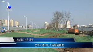 藝術(shù)大道綠化工程順利推進(jìn)