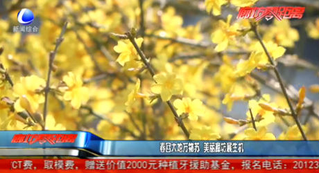 春回大地萬物蘇 美麗廊坊展生機(jī)