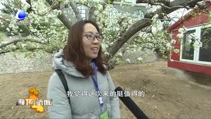 清明近郊出游成風尚 市民暢享廊坊好生態(tài)