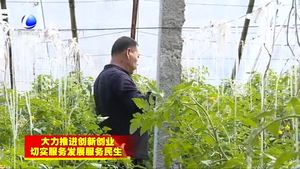 安次區(qū)碼頭鎮(zhèn)“農(nóng)技保姆”田間助春耕