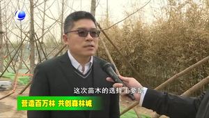 我市各地持續(xù)開展春季造林綠化工作