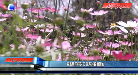 春季賞花好時(shí)節(jié) 花粉過(guò)敏需留心