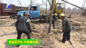 永清縣著力打造萬(wàn)畝銀杏生態(tài)景觀林帶