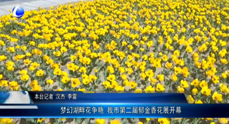 夢幻湖畔花爭艷 我市第二屆郁金香花展開幕