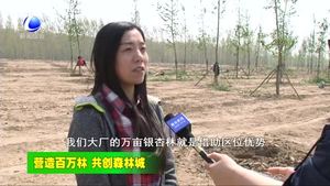 大廠縣強(qiáng)力打造環(huán)北京周邊萬畝銀杏林
