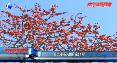 胃不舒服和天氣有關(guān)？是真的嗎？