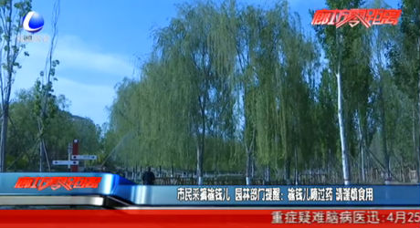 市民采摘榆錢(qián)兒 提醒：噴過(guò)藥 請(qǐng)謹(jǐn)慎食用