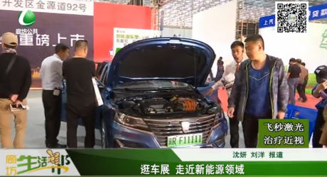 逛車(chē)展 走近新能源領(lǐng)域