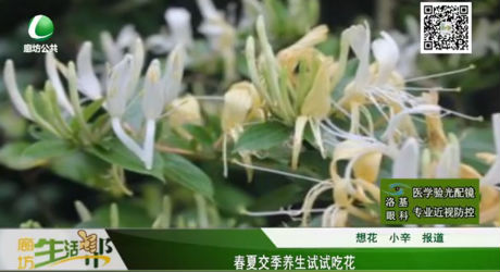 春夏交季養(yǎng)生試試吃花