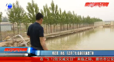 零距離熱線：無故停了電 魚塘和花圃遭了秧