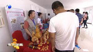 廊坊市“特色文化產(chǎn)品”走進第什里風(fēng)箏節(jié)