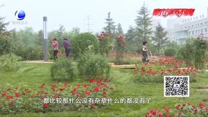 喜迎“5·18”盛會 爭做文明市民