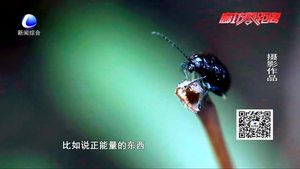 ”我眼中最美的春光“攝影大賽圓滿落幕