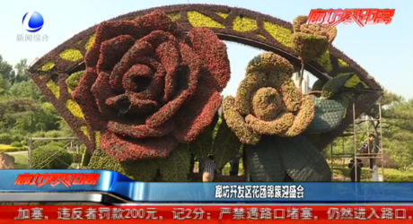 廊坊開發(fā)區(qū)花團錦簇迎盛會