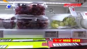 雄安新區(qū)規(guī)劃展：未來(lái)的雄安 比你想的更智慧