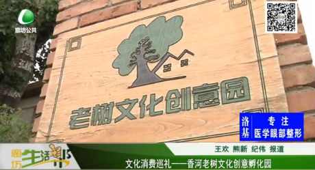 文化消費巡禮—— 香河老樹文化創(chuàng)意孵化園