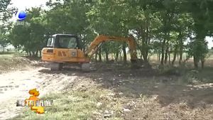 大城縣北魏鄉(xiāng)：告別“垃圾圍村”