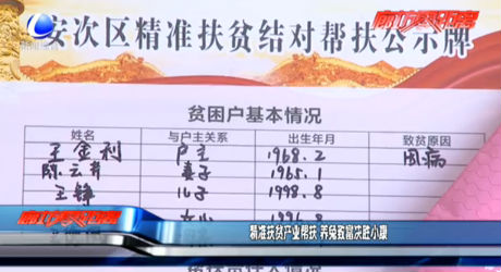 精準扶貧產(chǎn)業(yè)幫扶 養(yǎng)兔致富決勝小康