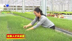 鄭維超：帶領(lǐng)群眾共同致富的女能手