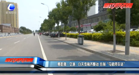 白天夜晚齊整治 告別“馬路停車場(chǎng)”