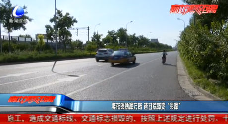 鮮花錦繡廊萬路 昔日荒郊變“彩廊”