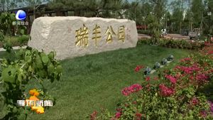 市政協(xié)委員圍繞主城區(qū)建設開展視察和協(xié)商議政活動