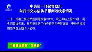 中央第一環(huán)保督察組向我市交辦信訪舉報(bào)問題線索情況
