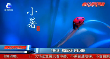 今日小暑：倏忽溫風(fēng)至 因循小暑來