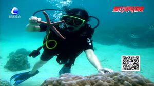 境外旅游如何規(guī)避風(fēng)險